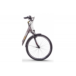 Rower elektryczny Ecobike City L Grey Pro 28 - model 2019