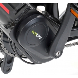 Rower elektryczny Ecobike RL 19