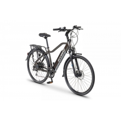 Rower elektryczny EcoBike Livigno 19