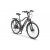 Rower elektryczny EcoBike Livigno 19