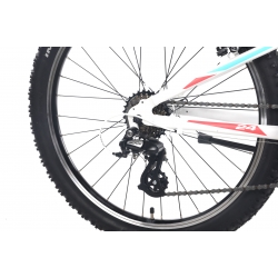 Rower Unibike Roxi 2020