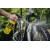 Płyn do mycia roweru WELDTITE Bike Cleaner v2 - Spray 1L (NEW)